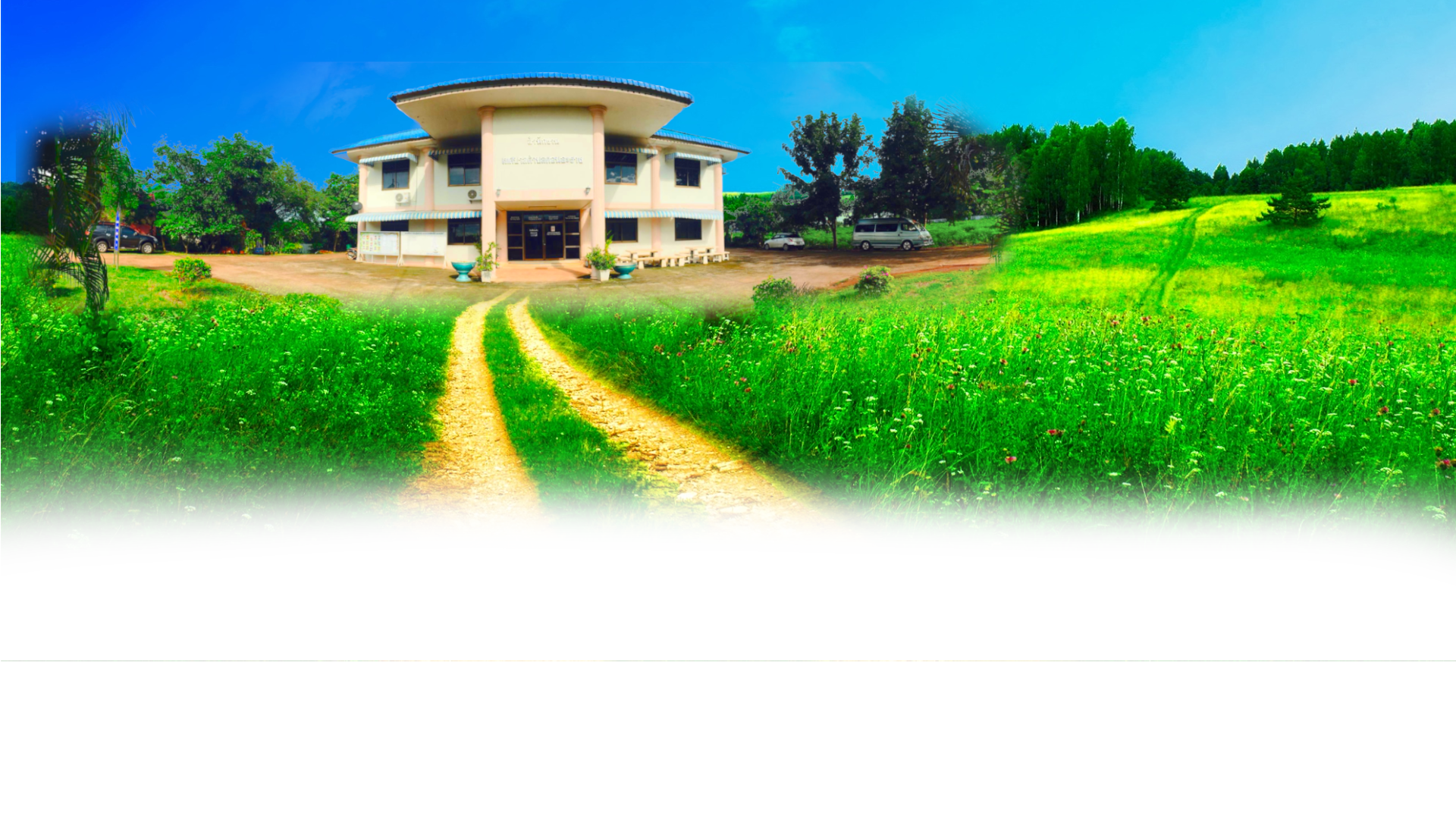 พื้นหลัง